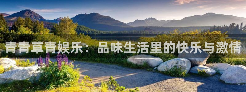 焦点娱乐网