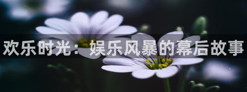 焦点娱乐