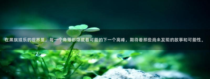 焦点娱乐