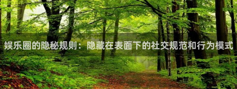 焦点娱乐网