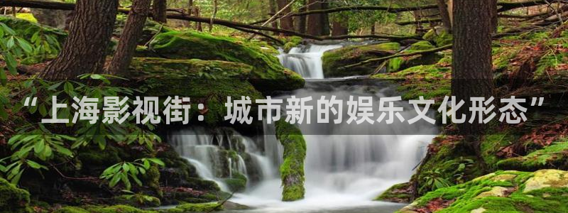 小焦点娱乐