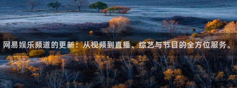 小焦点娱乐