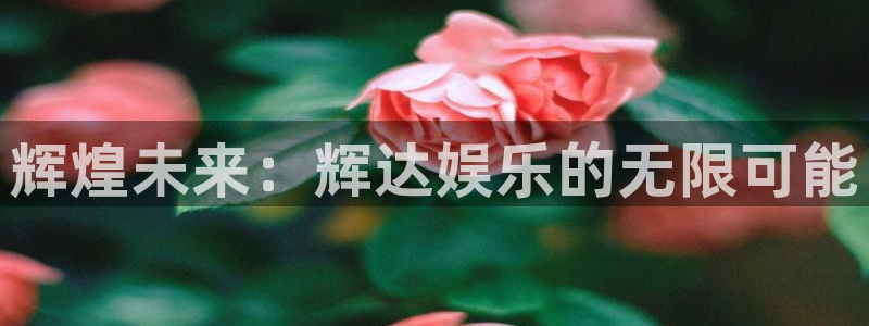 焦点娱乐登录