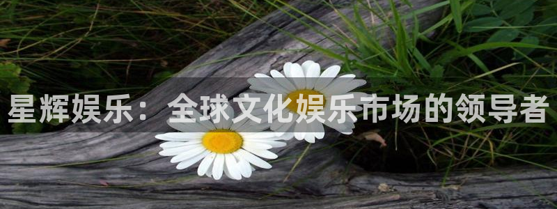 焦点娱乐平台